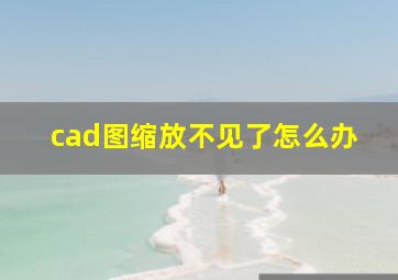 cad图缩放不见了怎么办