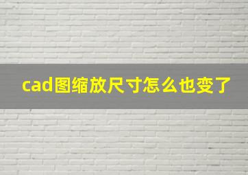 cad图缩放尺寸怎么也变了