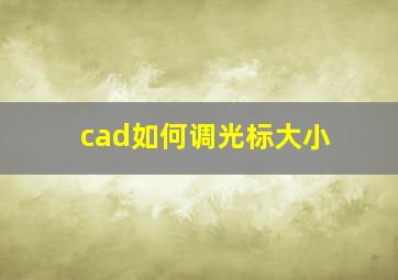 cad如何调光标大小