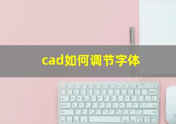 cad如何调节字体