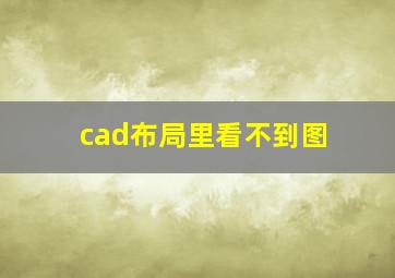 cad布局里看不到图