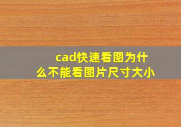 cad快速看图为什么不能看图片尺寸大小