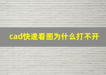 cad快速看图为什么打不开