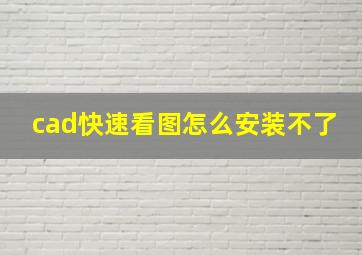 cad快速看图怎么安装不了