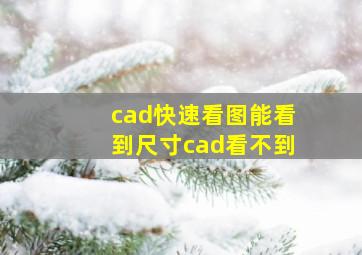 cad快速看图能看到尺寸cad看不到