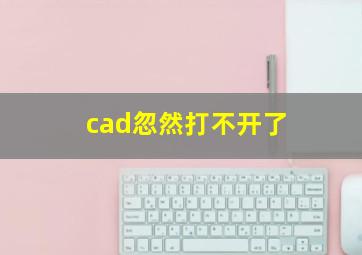 cad忽然打不开了