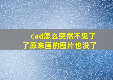 cad怎么突然不见了了原来画的图片也没了