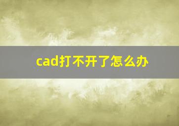 cad打不开了怎么办