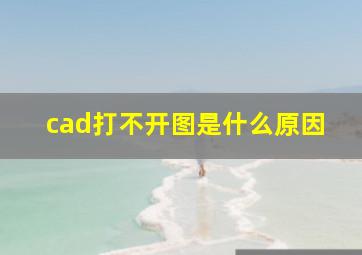 cad打不开图是什么原因