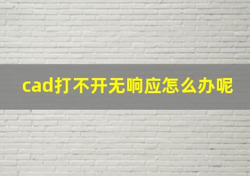 cad打不开无响应怎么办呢