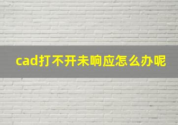 cad打不开未响应怎么办呢