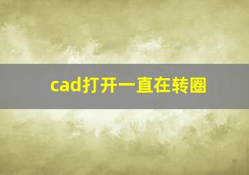 cad打开一直在转圈