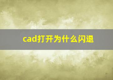 cad打开为什么闪退