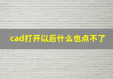 cad打开以后什么也点不了