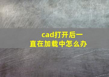 cad打开后一直在加载中怎么办