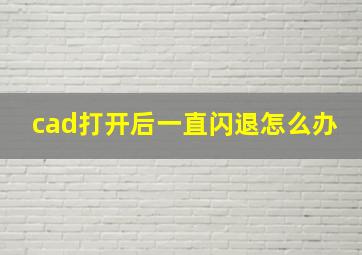 cad打开后一直闪退怎么办