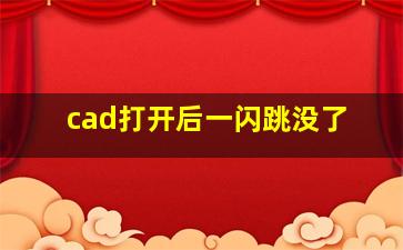 cad打开后一闪跳没了