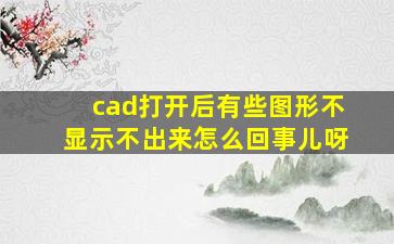 cad打开后有些图形不显示不出来怎么回事儿呀