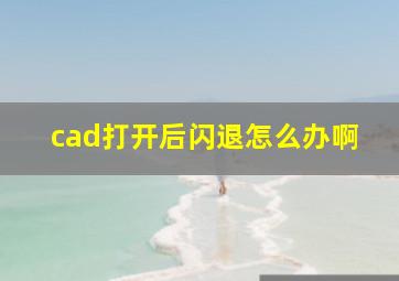 cad打开后闪退怎么办啊