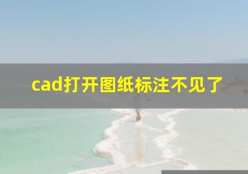 cad打开图纸标注不见了