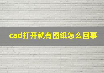 cad打开就有图纸怎么回事