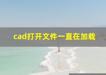 cad打开文件一直在加载