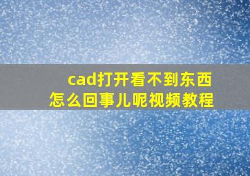 cad打开看不到东西怎么回事儿呢视频教程