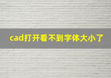 cad打开看不到字体大小了