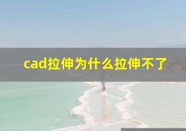 cad拉伸为什么拉伸不了