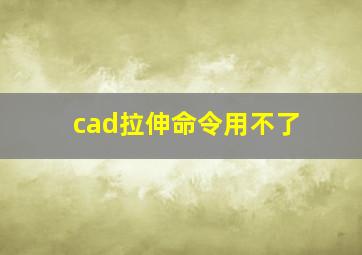 cad拉伸命令用不了