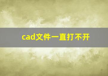 cad文件一直打不开