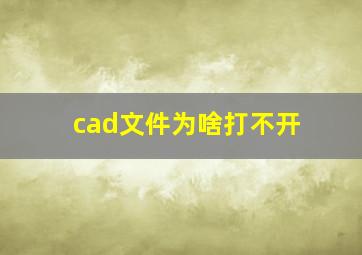 cad文件为啥打不开