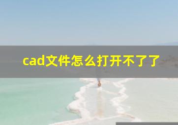 cad文件怎么打开不了了