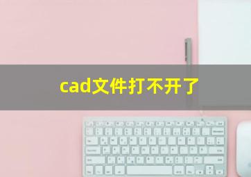 cad文件打不开了