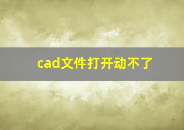 cad文件打开动不了