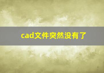 cad文件突然没有了