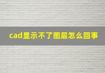 cad显示不了图层怎么回事