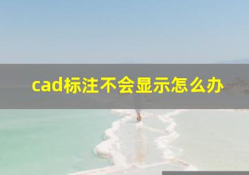 cad标注不会显示怎么办