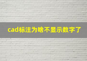 cad标注为啥不显示数字了