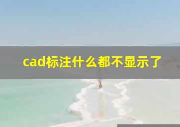 cad标注什么都不显示了