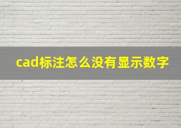 cad标注怎么没有显示数字