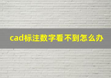 cad标注数字看不到怎么办