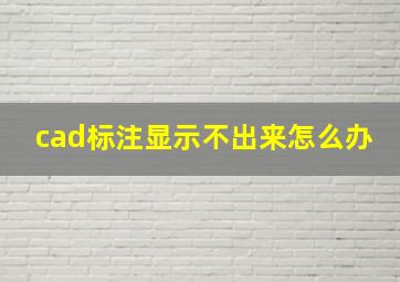 cad标注显示不出来怎么办