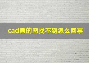 cad画的图找不到怎么回事