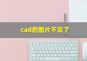 cad的图片不见了