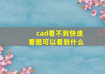 cad看不到快速看图可以看到什么