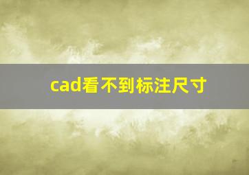 cad看不到标注尺寸