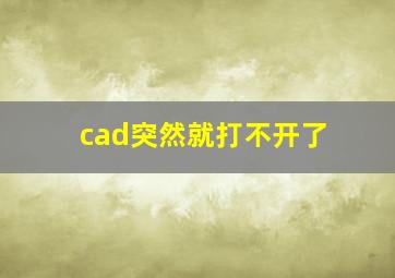 cad突然就打不开了