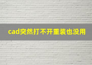 cad突然打不开重装也没用