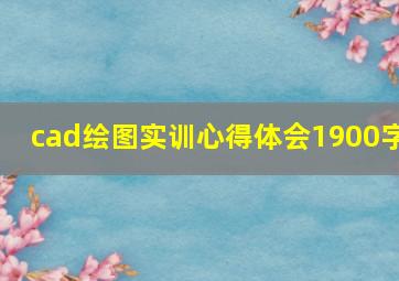 cad绘图实训心得体会1900字